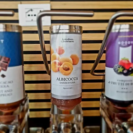 Camelia Venice 게스트하우스 3*