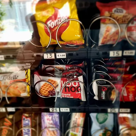 게스트하우스 Camelia Venice 3*