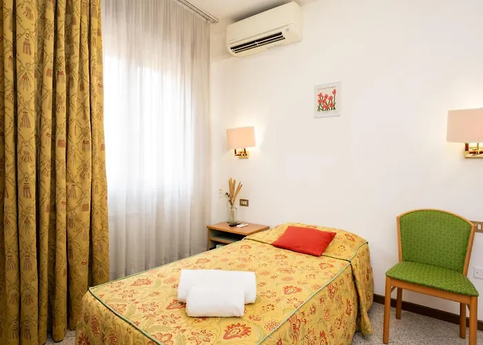 Camelia Venice Mestre