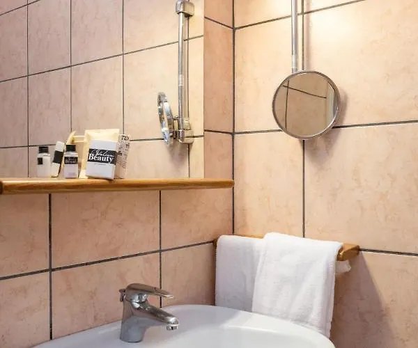 Camelia Venice 3* Mestre